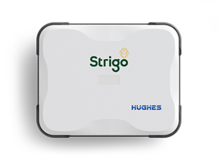 strigo device