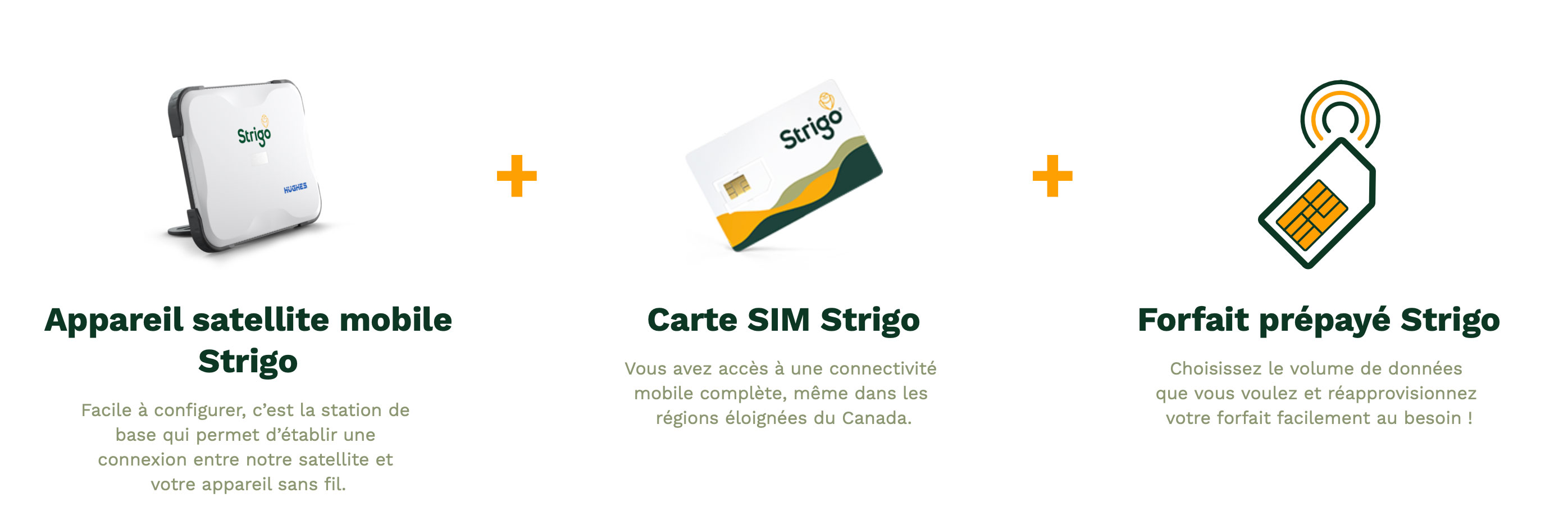 Strigo package