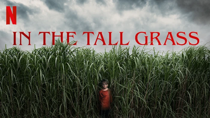 In the Tall Grass